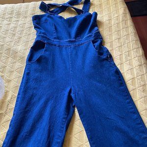70s Style Denim Jumpsuit